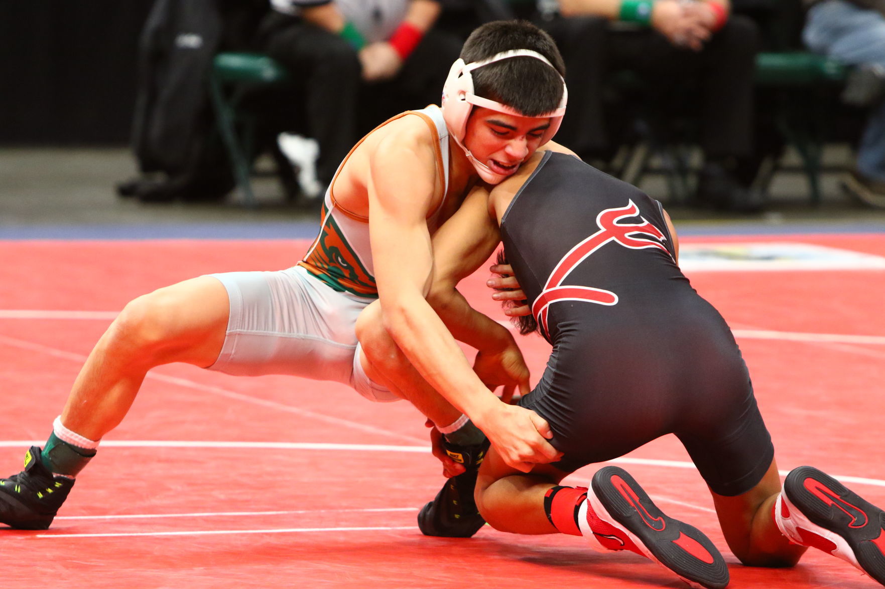 Gallery: Wrestling State Finals